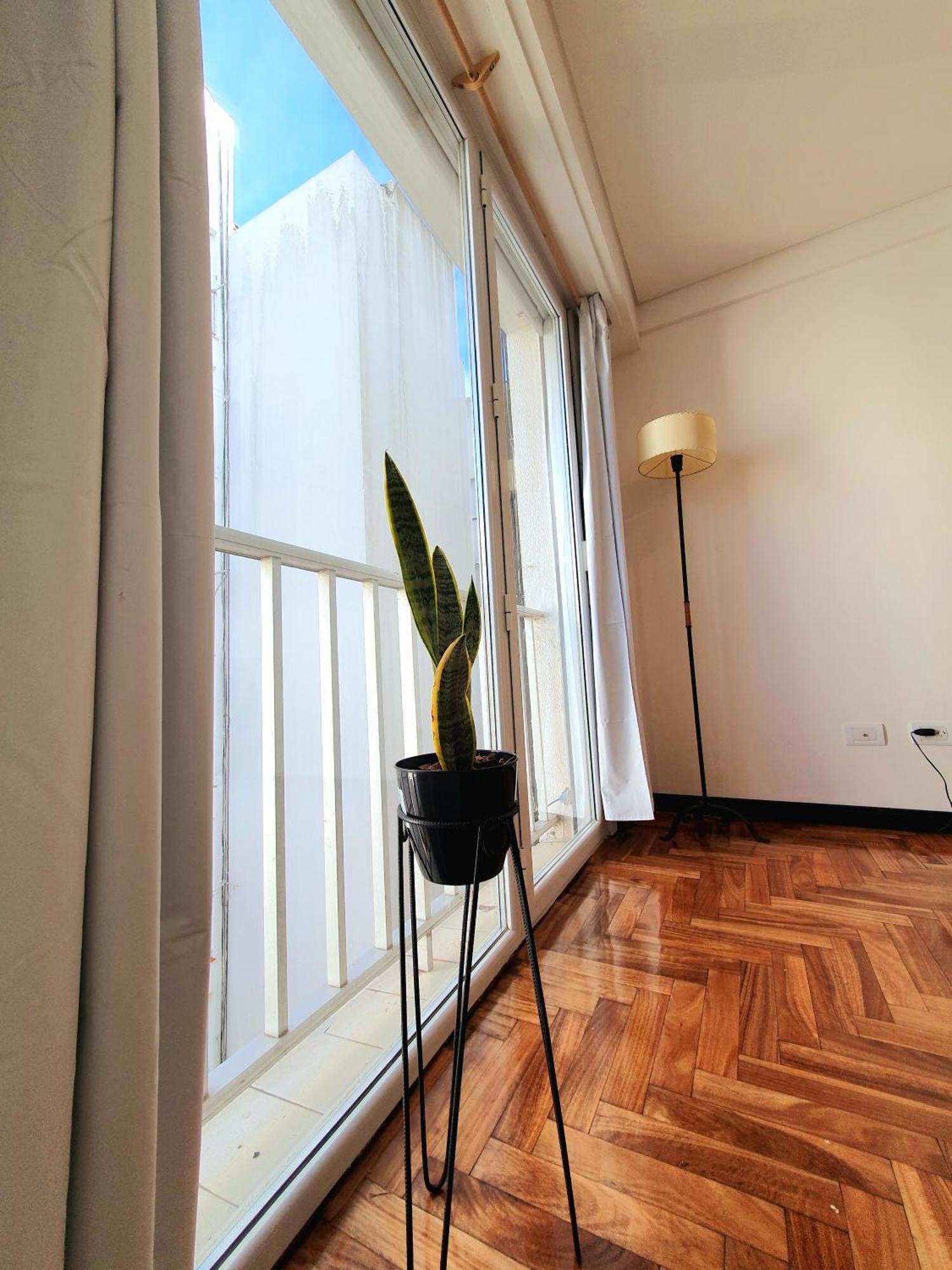 Plaza Colon Apartment